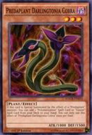 card601921-series378408-rarity540534