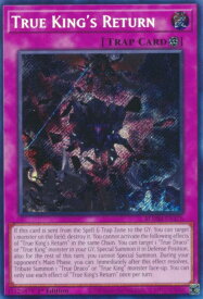 card601950-series373564-rarity540537