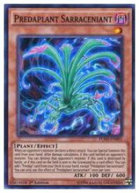 card602041-series373129-rarity540535