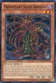 card602266-series478732-rarity540534