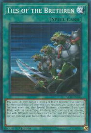 card603151-series457467-rarity540534