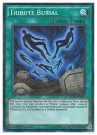 card603163-series480231-rarity540535