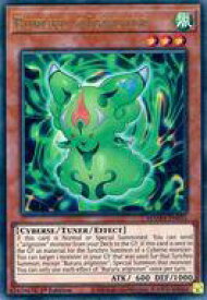 card603975-series481571-rarity540536