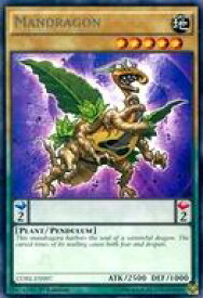 card604546-series483100-rarity540551