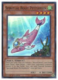 card604841-series484089-rarity540535