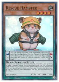 card605025-series484476-rarity540535