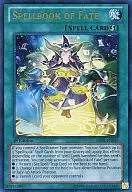 card606166-series487484-rarity540538