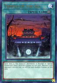 card607136-series373170-rarity540548