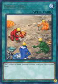 card608007-series383129-rarity540551