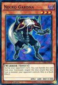 card608961-series484089-rarity540535