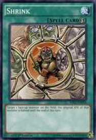 card609425-series482116-rarity540534