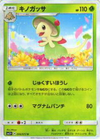 card25799-series61064-rarity65215