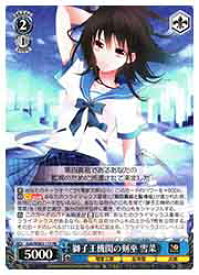 card_531072_series_517258_rarity_557275_