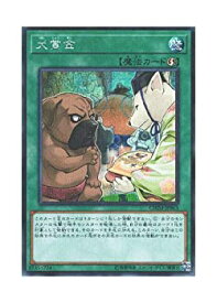 card3733-series8591-rarity5