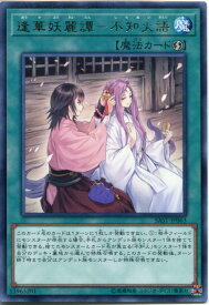 card4245-series9725-rarity62