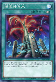 card5510-series12655-rarity1