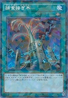 card5510-series12655-rarity2