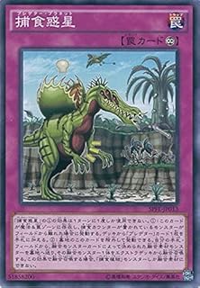 card5511-series12655-rarity1