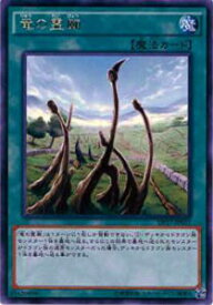 card7629-series13356-rarity62