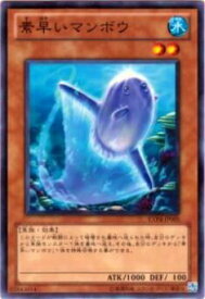 card8532-series19477-rarity1