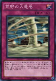 card9330-series21231-rarity1