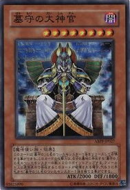 card9529-series21630-rarity3