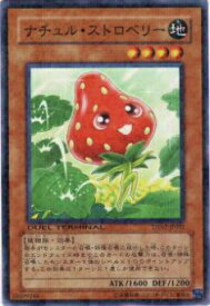 card9585-series21821-rarity1