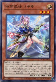 card142-series208-rarity1