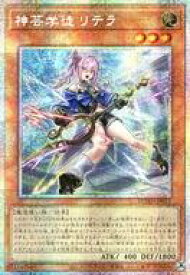 card142-series208-rarity8