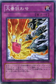 card9791-series22369-rarity1