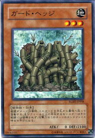 card9913-series22727-rarity1