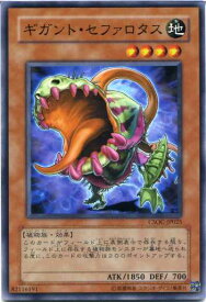 card10211-series23536-rarity1