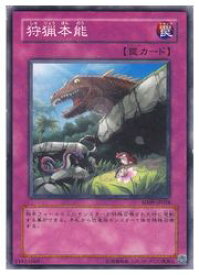 card11107-series26265-rarity1