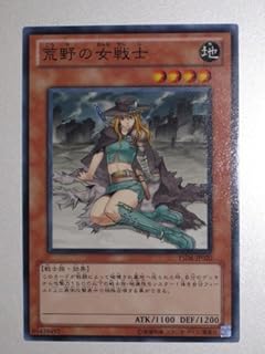 card11412-series20026-rarity1