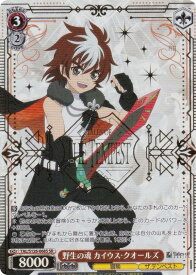 card2571007-series2525840-rarity557104