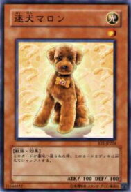 card12059-series29932-rarity1