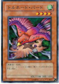 card12513-series30737-rarity1