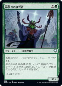 card295430-series173268-rarity323478