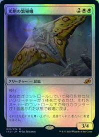 card295842-series174051-rarity323477