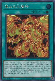 card1625-series3464-rarity5