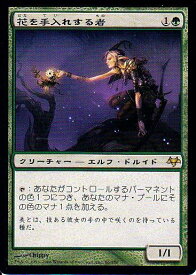 card304705-series182914-rarity323476