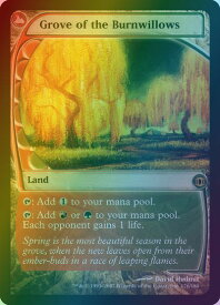 card305747-series183846-rarity323476