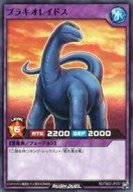 card13084-series35052-rarity1