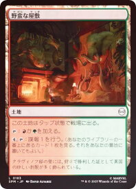 card322754-series200846-rarity323737