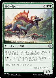 card298214-series208405-rarity323478
