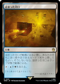 card299732-series208771-rarity323476