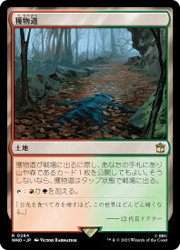 card299738-series208771-rarity323476