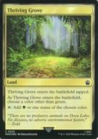 card326863-series208771-rarity323480
