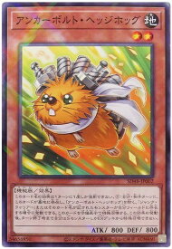 card13958-series38912-rarity2