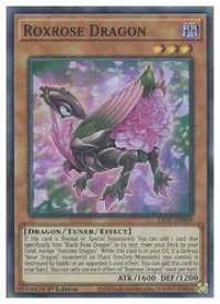 card501903-series377399-rarity540535